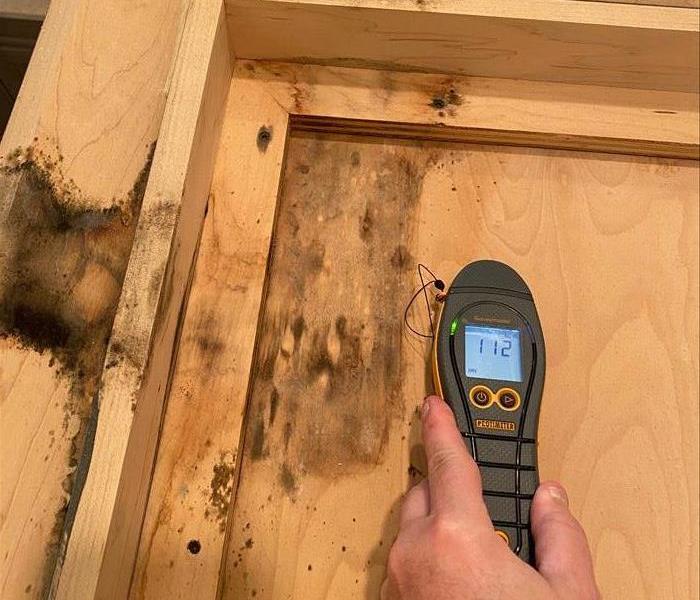 Mold on a wooden surface with a moisture meter.