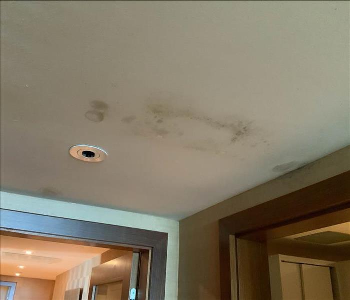 Mold growing on ceiling.