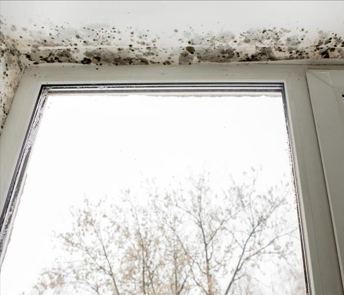 Mold spots at the top corner of a window sill.