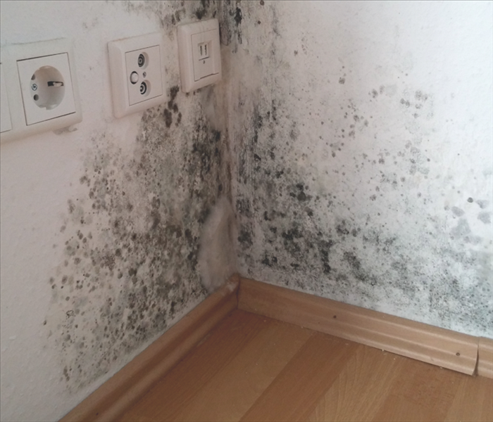 White wall with mold on it.