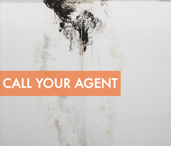 Background of black mold and a phrase Call Your Agent